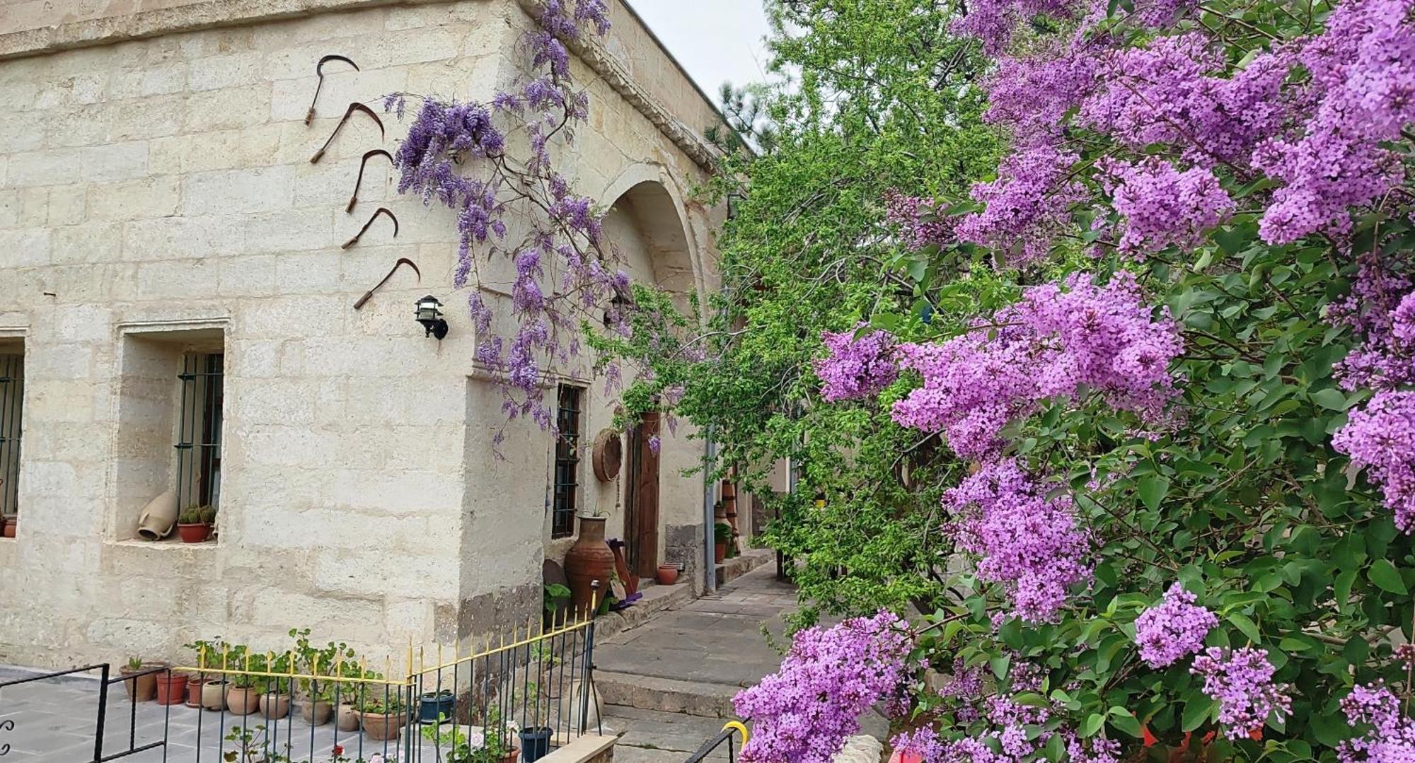 Armesos Cave Hotel Ürgüp Exterior foto